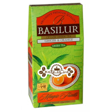 Чай BASILUR Ginger Orange Імбир Апельсин - Чарівні Фрукти 100 г к / п (4792252933484)