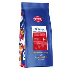 Кофе Ethiopia Sidamo Mamo Kacha моносорт (Джемини моносорт Ефиопия Сидамо)
